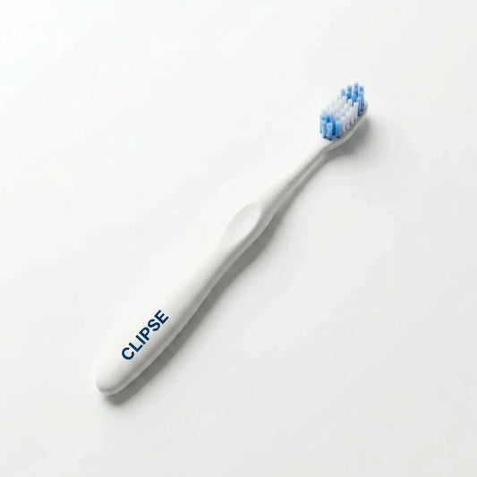 Brosse d'entretien CLIPSE